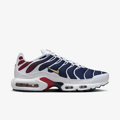 Nike Air Max Plus “PSG”