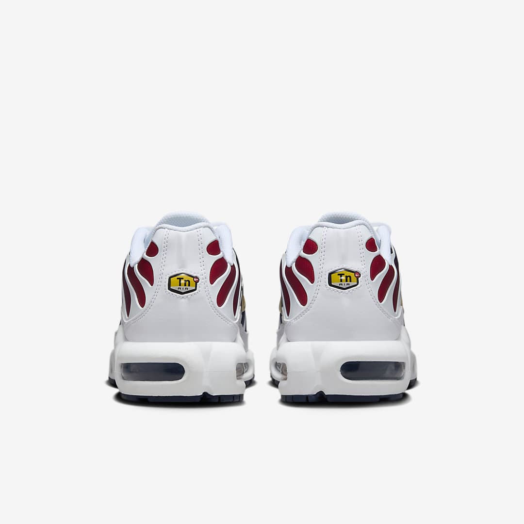 Nike Air Max Plus “PSG”