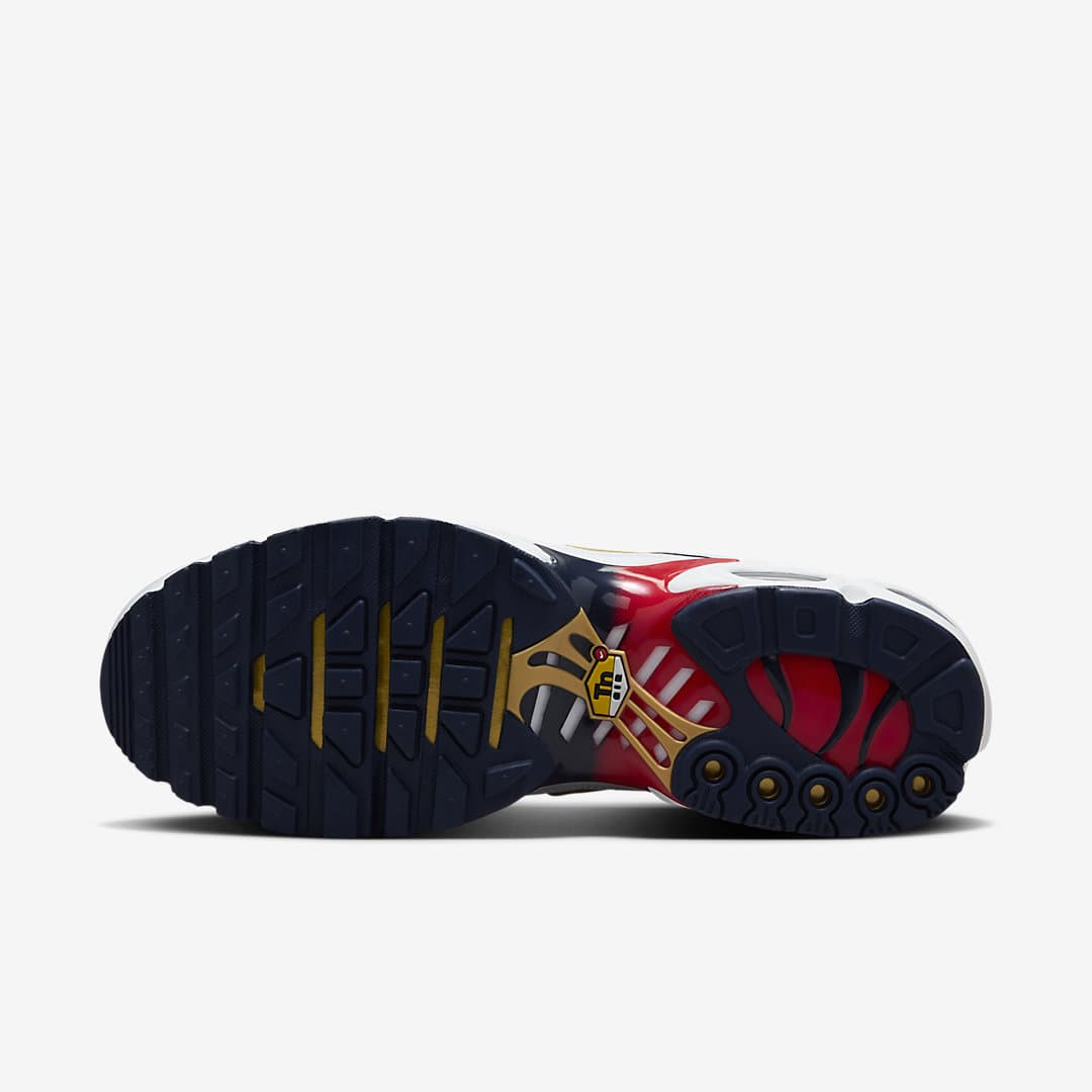 Nike Air Max Plus “PSG”